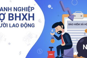 Vietnam CapitaLand nợ 1,7 tỷ đồng bảo hiểm xã hội, 6 lần thay đổi người đại diện pháp luật trong 3 năm