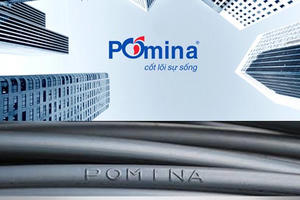 Thép Pomina (POM) dừng kế hoạch phát hành cổ phiếu riêng lẻ cho đối tác ngoại