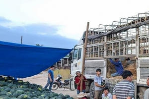 Tiểu thương mua dưa hấu “cắn răng” nộp 2 triệu đồng/xe để qua trạm bảo kê