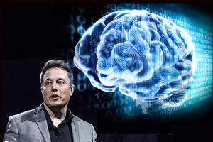 Startup của Elon Musk dùng heo để thử nghiệm công nghệ kết nối não với máy tính