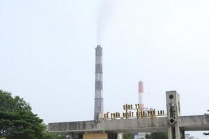 Làm rõ hình thức kỷ luật đối với Tổng giám đốc Nhiệt diện Phả Lại