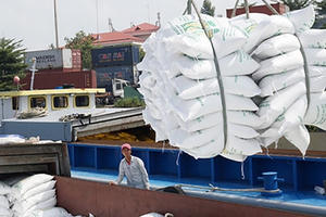 Bộ Công Thương muốn Bộ Tài chính cho ý kiến về xuất khẩu gạo