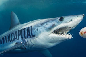 Thực hư chuyện công ty Ba Huân kêu cứu Thủ tướng do lo ngại VinaCapital thâu tóm