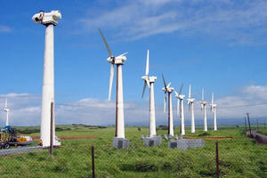 EVN có thể tiếp tục cắt giảm công suất điện gió ở mức cao do thừa điện
