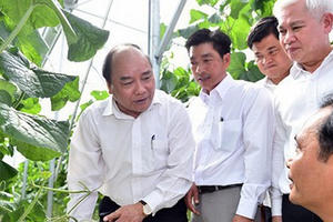 100.000 doanh nghiệp và mục tiêu hàng đầu thế giới về nông sản