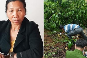 Rúng động nghi án người phụ nữ đâm chết 3 bà cháu hàng xóm