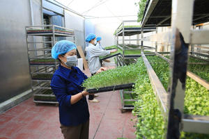 Liên kết doanh nghiệp: ‘Chìa khoá’ tăng tốc kinh tế tuần hoàn tại Việt Nam