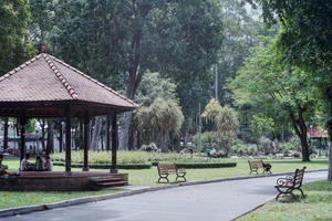 Đà Nẵng: Thu hồi một phần dự án 4.800 tỷ đồng để xây công viên công cộng