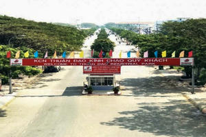 Long An yêu cầu dừng cưỡng chế nợ thuế Công ty KCN Đồng Tâm