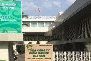 Sai phạm 2.000ha đất công, ông Lê Tấn Hùng bị khiển trách