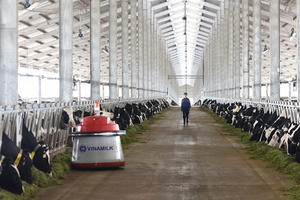 Vinamilk nhập lô bò A2 thuần chủng đầu tiên từ New Zealand