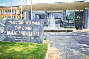 HAGL (HAG) dùng gần 157 triệu cổ phần HAGL Investment làm tài sản đảm bảo, chuẩn bị lộ trình niêm yết công ty con