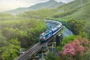 Đường sắt Việt Nam (VNR): Doanh thu sụt giảm, lợi nhuận quý 2 vẫn tăng trưởng 109%