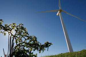 Điện gió Đắk Nông: Chủ đầu tư “chạy nước rút” để hưởng ưu đãi, dân yêu cầu công khai, minh bạch