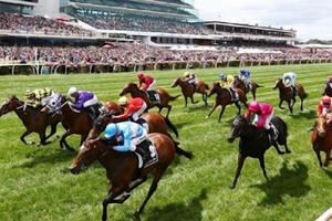 Đề xuất đặt cược bóng đá, đua ngựa qua ví điện tử, tài khoản điện thoại