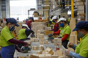 Vượt áp lực cạnh tranh, kinh tế Việt Nam kỳ vọng tăng 70 tỉ USD