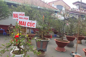 Dòng tiền đang...mỏi