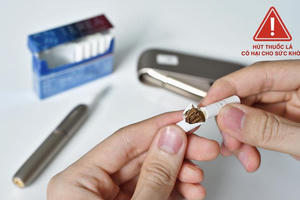 WHO phân biệt hàm lượng chất gây hại giữa thuốc lá làm nóng và thuốc lá điếu