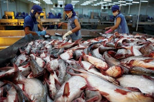 Cổ phiếu của Thủy sản Hùng Vương bị hủy niêm yết