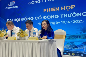 ĐHĐCĐ Coma 18 (CIG) đặt mục tiêu lợi nhuận 2025 gấp 5 lần năm 2024, KCN Kim Thành là động lực chính