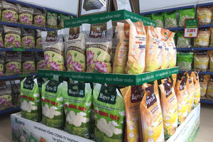 Gạo Hapro Đồng Tháp: Điểm sáng của ngành lúa gạo Việt Nam 