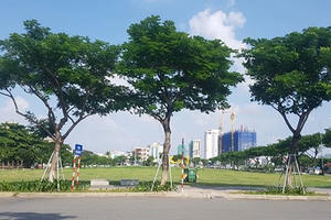 Đà Nẵng rút lại đề nghị thu hồi đất đối với 81 dự án