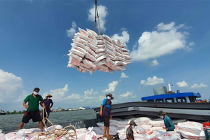 Giá gạo Việt xuất khẩu cao nhất trong 9 năm