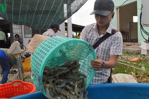 Xuất khẩu thuỷ sản giảm nhẹ nhưng nhập khẩu lại tăng 4,4%