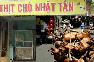 Video: Vì sao 'thủ phủ' thịt chó Nhật Tân biến mất bí ẩn?