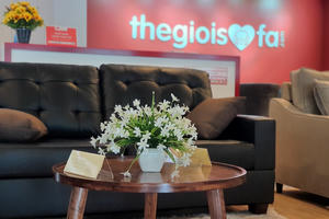 Startup khai phá tiềm năng ngành sofa Việt Nam