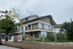 Nhà liền thổ vẫn “sống khoẻ” bất chấp đại dịch