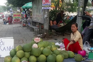 Bưởi da xanh giá rẻ chất đống bán vỉa hè Sài Gòn