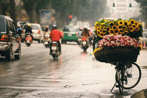 Thời tiết ngày 17/10: Bắc Bộ mưa lạnh, cảnh báo mưa lớn ở Trung Bộ và Bắc Tây Nguyên