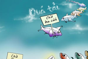 Thiệt hại kép từ việc ồ ạt cấp phép hãng hàng không