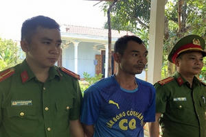 Giả chữ ký chiếm đoạt đất mang thế chấp ngân hàng