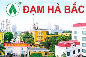 Dừng máy đại tu, Đạm Hà Bắc (DHB) báo lỗ 96 tỷ đồng, xóa sạch thành quả 6 tháng