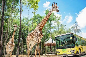 Vingroup muốn làm Vinpearl Safari hơn 1.100ha tại Hạ Long