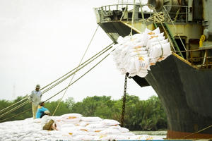 Giá xuất khẩu gạo Việt Nam vượt Thái Lan 