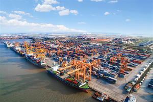 Cảng Đình Vũ (DVP) dự chi 120 tỷ đồng để trả cổ tức bằng tiền, tỷ lệ 30%