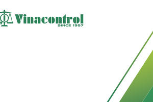 Vinacontrol (VNC) bị phạt và truy thu thuế