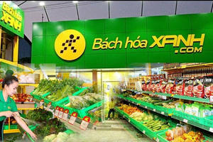 Bách Hóa Xanh ồ ạt tuyển quân 'đánh chiếm' thị trường phía Bắc, chốt lãi năm 2025 tối thiểu 600 tỷ đồng