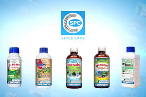 Khai sai thuế, dùng hóa đơn chứng từ không hợp pháp, Công ty Bảo vệ Thực vật Sài Gòn (SPC) bị phạt