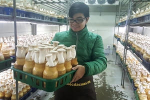 “Cần nhiều hơn nữa những cửa hàng thực phẩm sạch minh bạch”