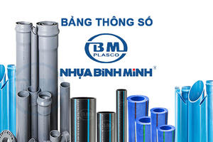 Biến động nhân sự cấp cao tại Nhựa Bình Minh (BMP): Tổng Giám đốc từ nhiệm, hé lộ người kế nhiệm