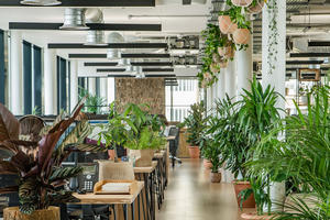 Thị trường văn phòng thiết kế xanh, đa chức năng 'lên ngôi'