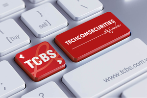 TCBS huy động 500 tỷ đồng trái phiếu, đặt mục tiêu lãi 2025 tăng 20%, dự kiến phát hành riêng lẻ 118,8 triệu cổ phiếu