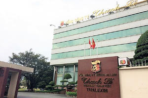 'Làm ngơ' sai sót 307 tỷ tại Thanh Lễ (TLP), hai kiểm toán viên Nhân Tâm Việt bị đình chỉ tư cách