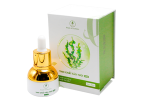 Tinh chất tảo tươi X10 – giải pháp tái tạo và phục hồi làn da