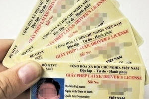Từ ngày 1/1/2025: Giấy phép lái xe cấp trước 1/1/2025 thì được cấp, đổi lại như thế nào?