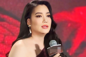 Khởi tố, bắt tạm giam Trương Ngọc Ánh về hành vi 'Lạm dụng tín nhiệm chiếm đoạt tài sản'